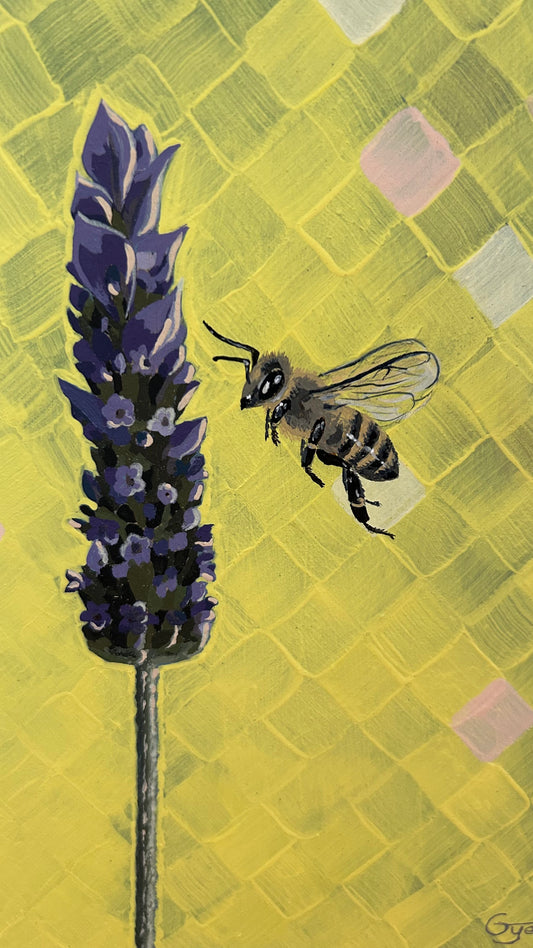 ‘Lavender Dreams’