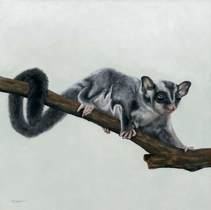 ‘Sweet Glider’ LIMITED EDITION fine art print