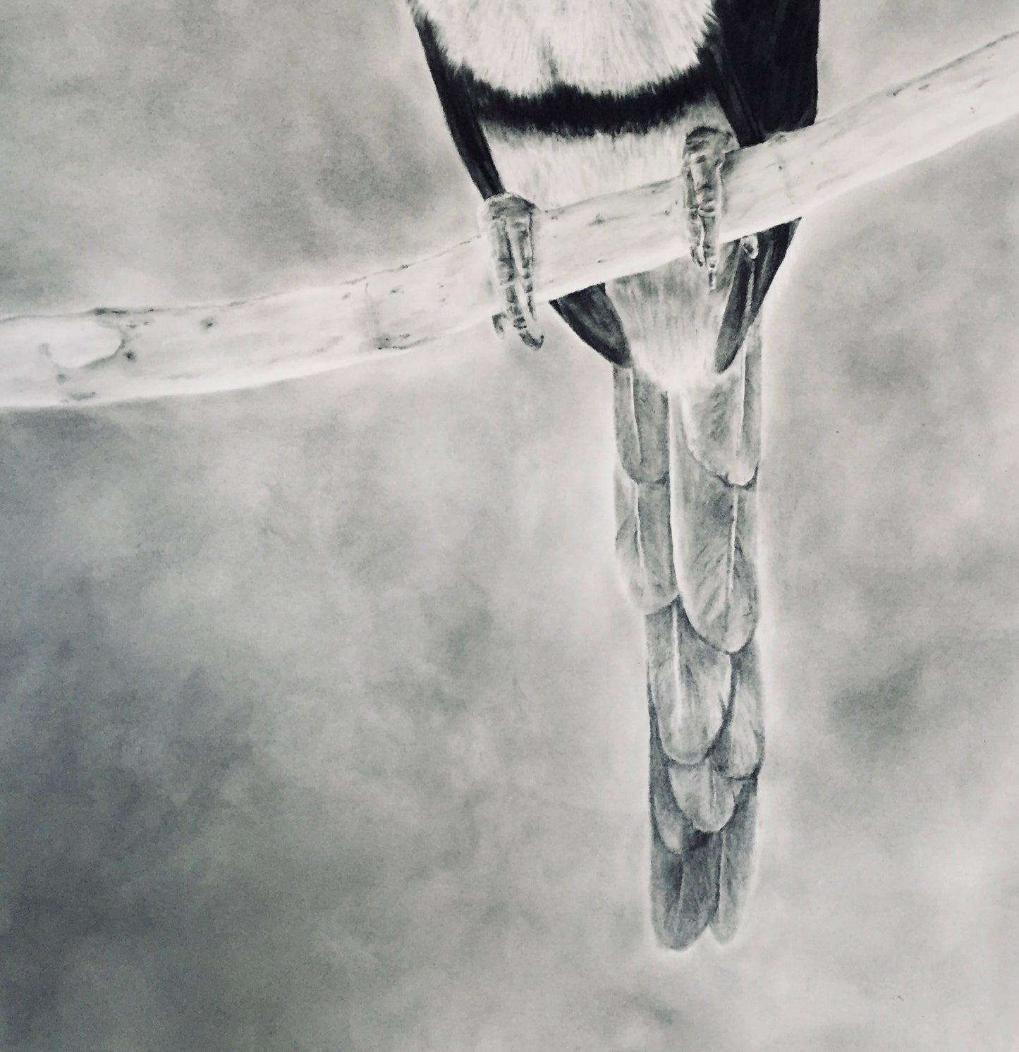‘Perched’