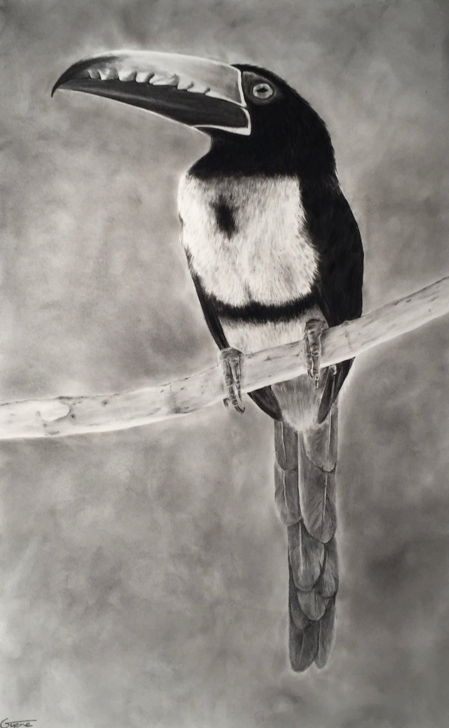 ‘Perched’